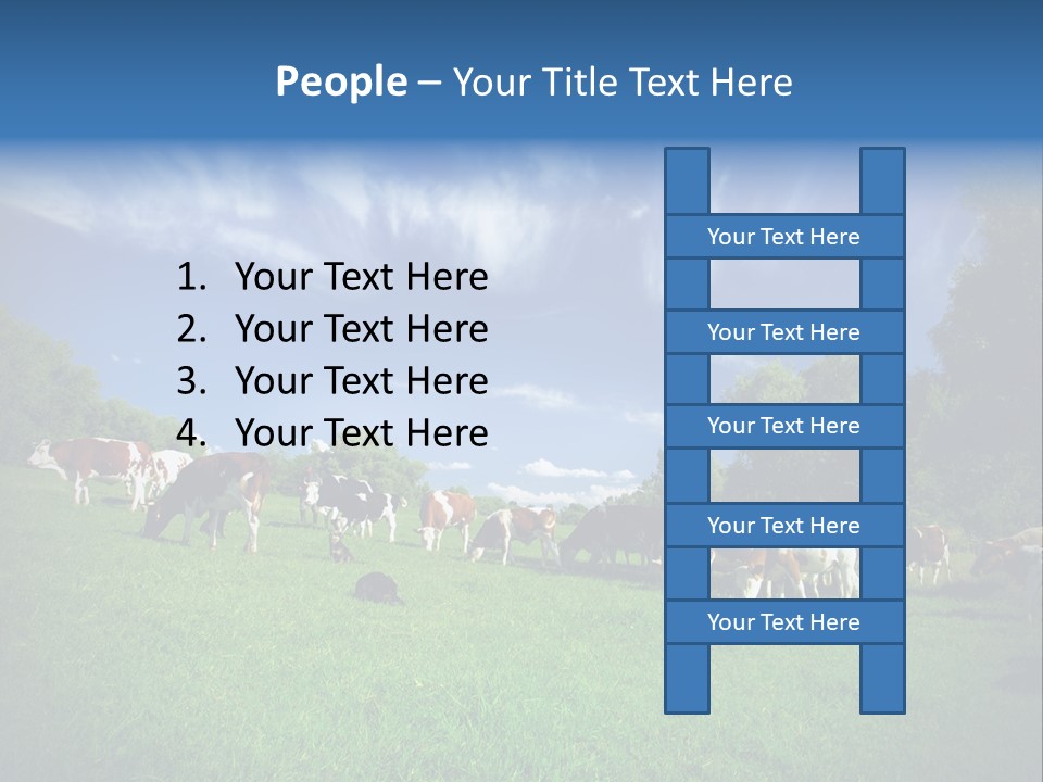 Cattle Discussion Four PowerPoint Template
