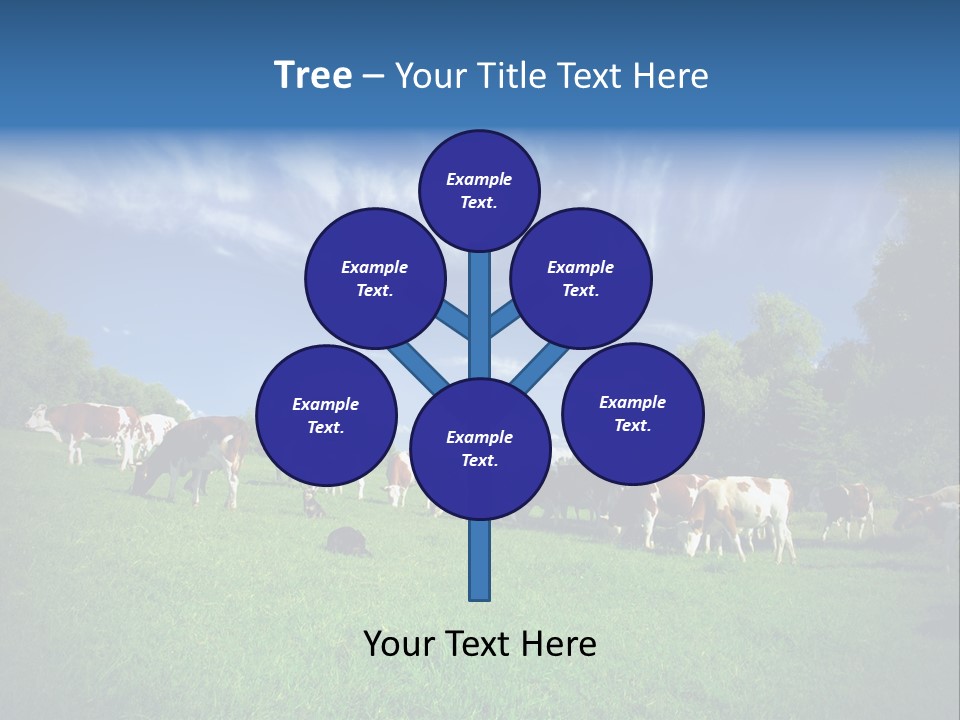 Cattle Discussion Four PowerPoint Template
