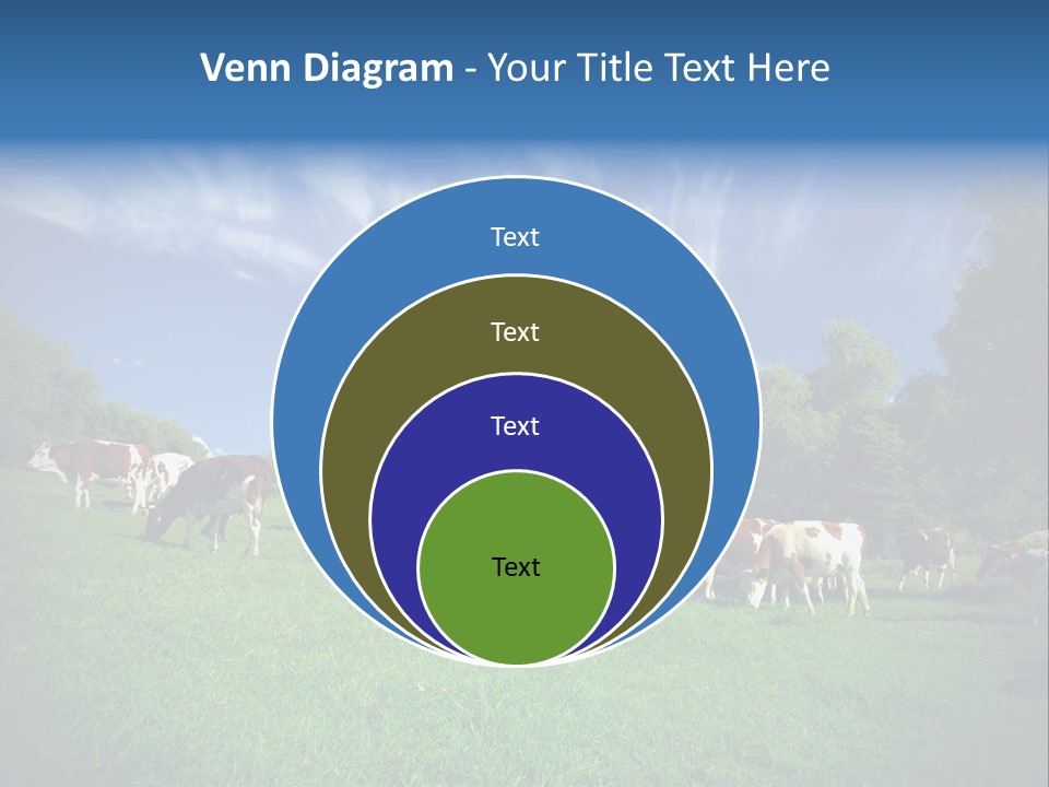 Cattle Discussion Four PowerPoint Template