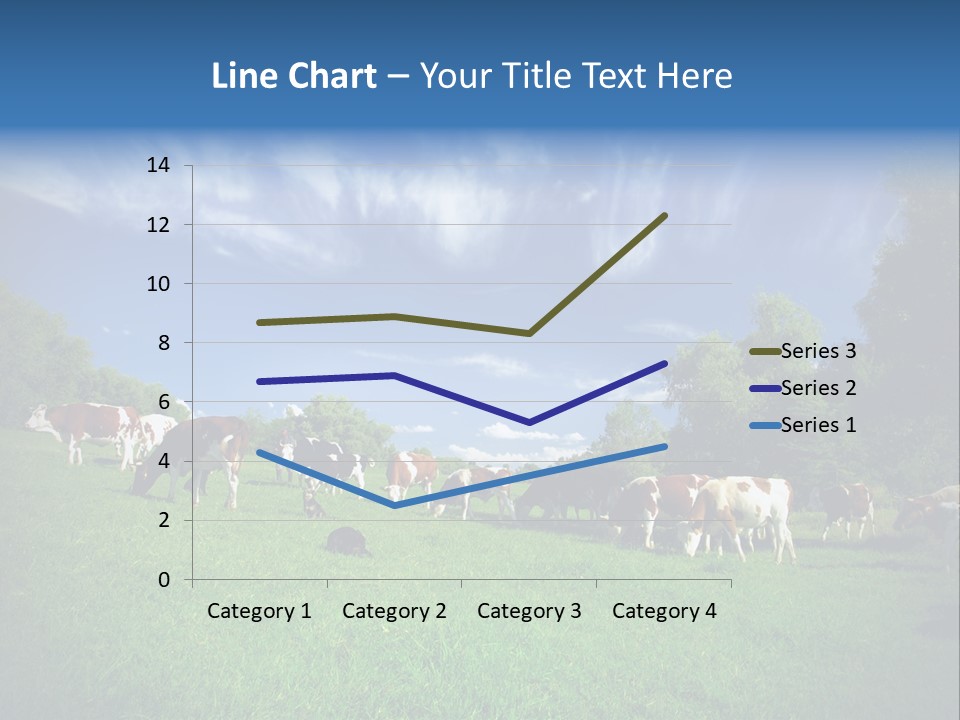 Cattle Discussion Four PowerPoint Template