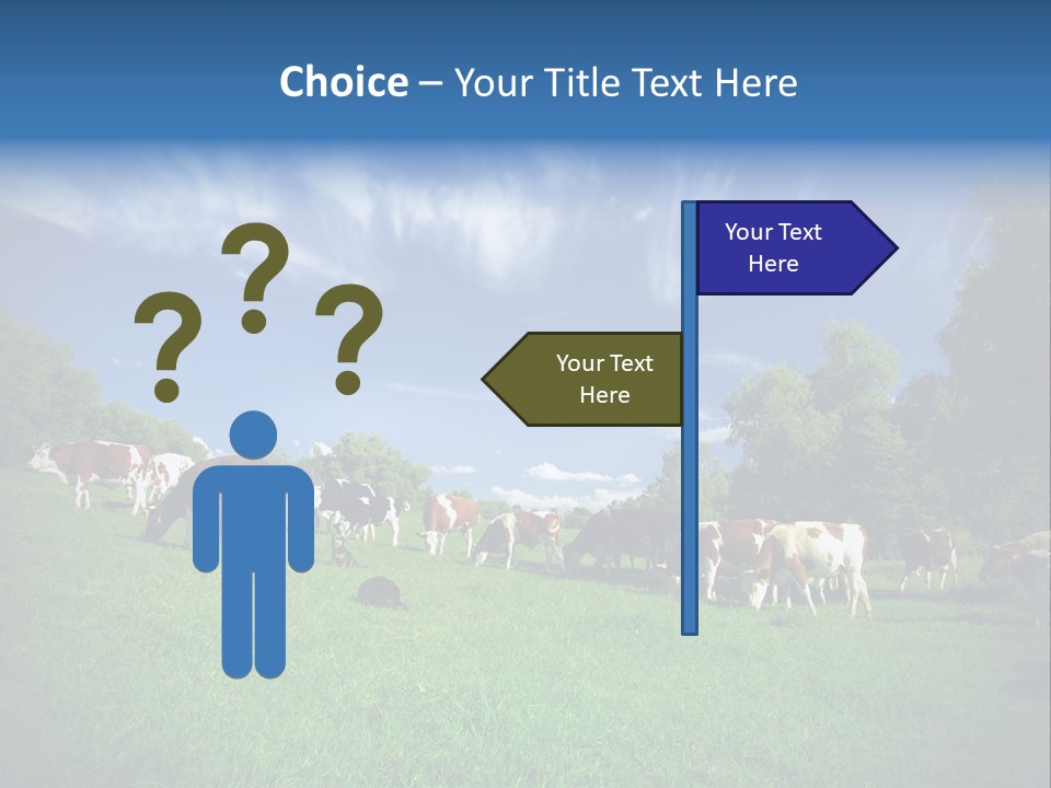 Cattle Discussion Four PowerPoint Template