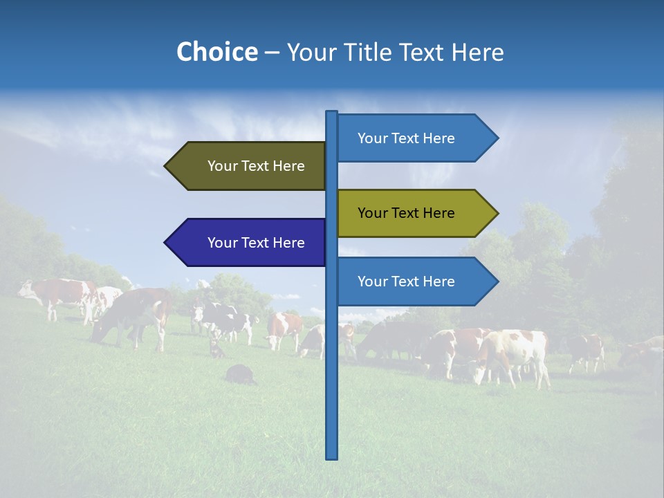Cattle Discussion Four PowerPoint Template