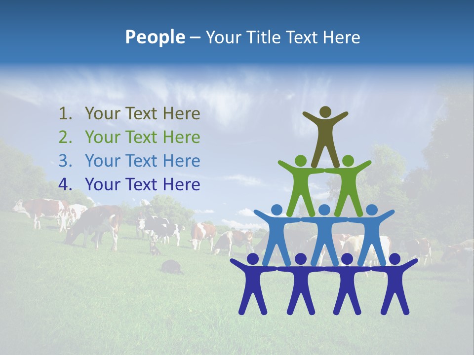 Cattle Discussion Four PowerPoint Template