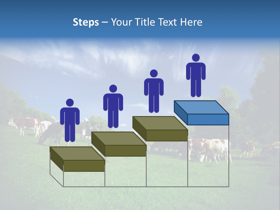 Cattle Discussion Four PowerPoint Template