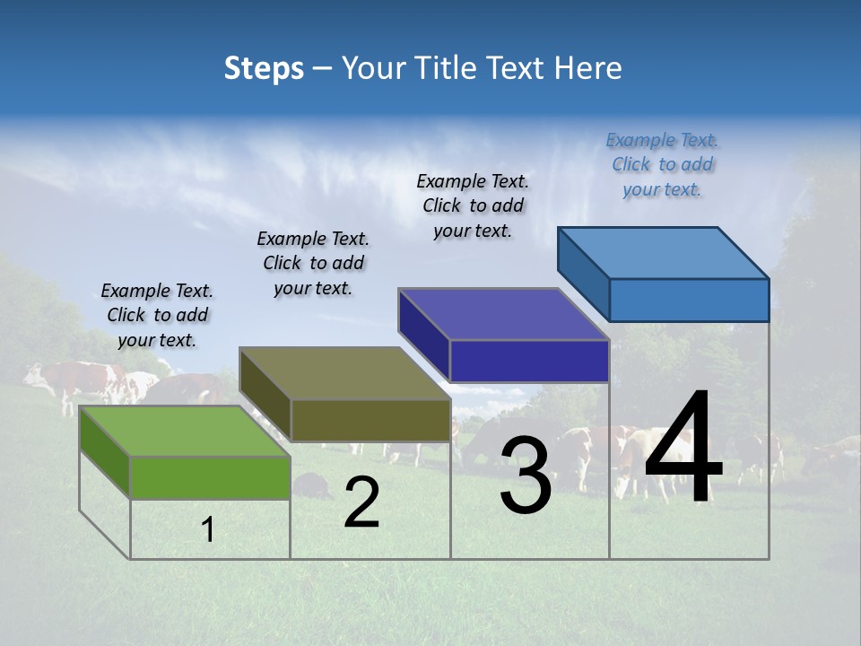 Cattle Discussion Four PowerPoint Template
