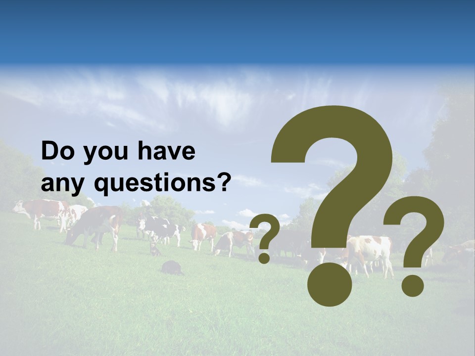 Cattle Discussion Four PowerPoint Template