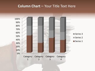 Single Background Work PowerPoint Template