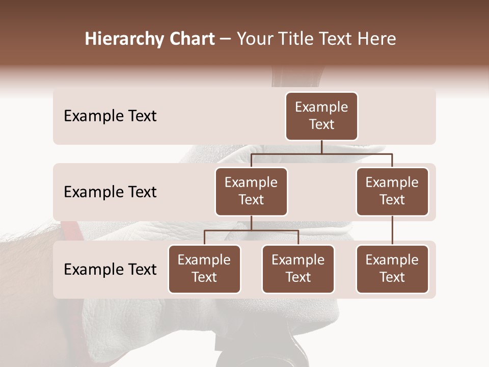 Single Background Work PowerPoint Template
