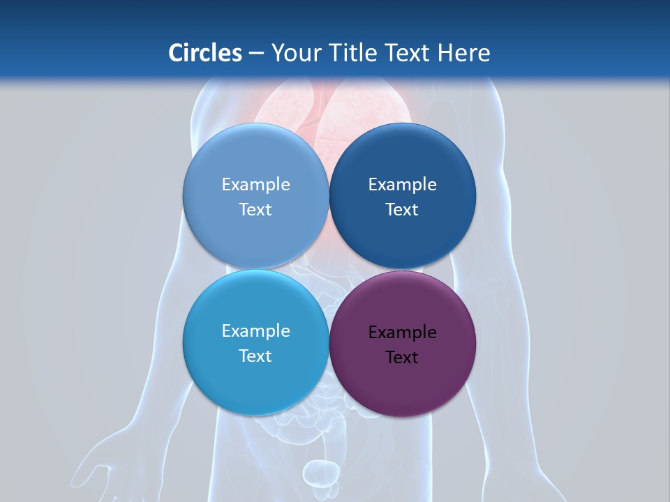 Organs Healthcare Pneumonia PowerPoint Template