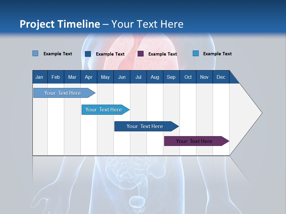 Organs Healthcare Pneumonia PowerPoint Template