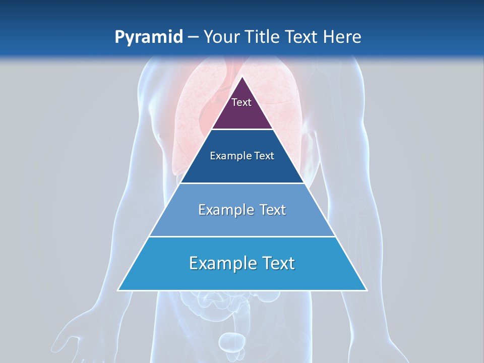 Organs Healthcare Pneumonia PowerPoint Template