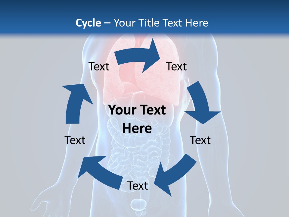 Organs Healthcare Pneumonia PowerPoint Template