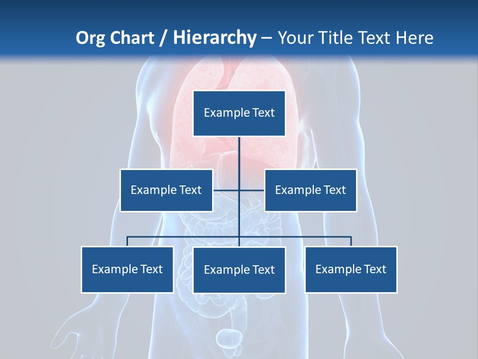 Organs Healthcare Pneumonia PowerPoint Template