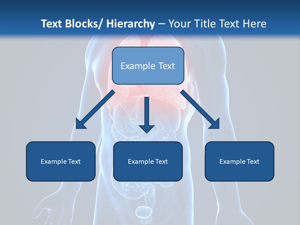 Organs Healthcare Pneumonia PowerPoint Template