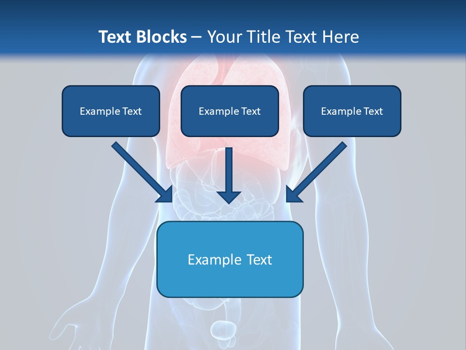 Organs Healthcare Pneumonia PowerPoint Template
