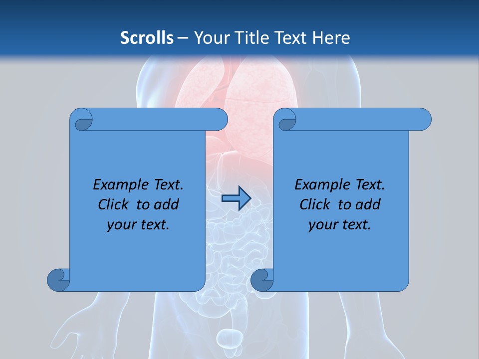 Organs Healthcare Pneumonia PowerPoint Template