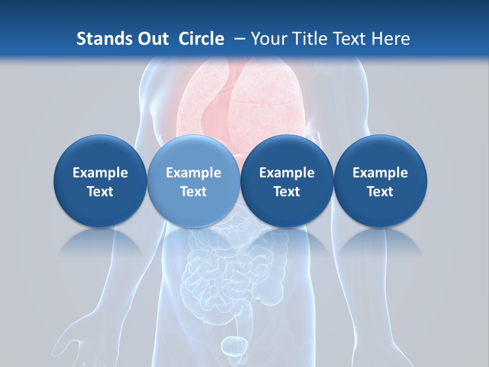 Organs Healthcare Pneumonia PowerPoint Template