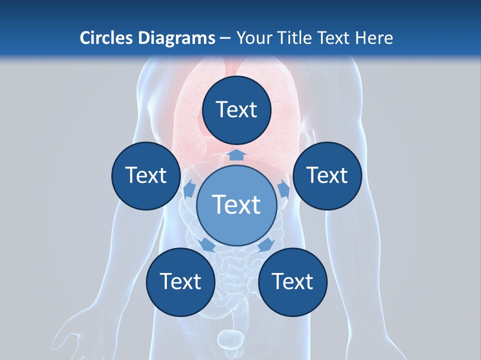 Organs Healthcare Pneumonia PowerPoint Template
