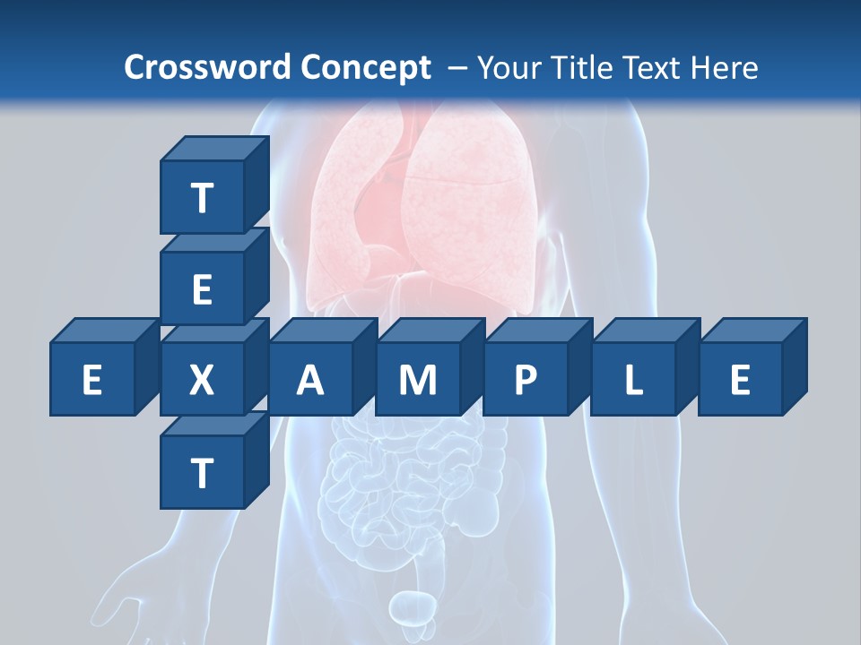 Organs Healthcare Pneumonia PowerPoint Template