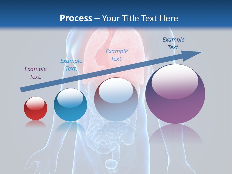 Organs Healthcare Pneumonia PowerPoint Template