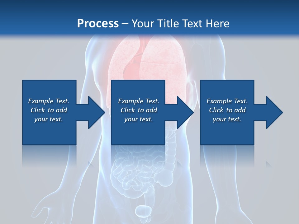 Organs Healthcare Pneumonia PowerPoint Template