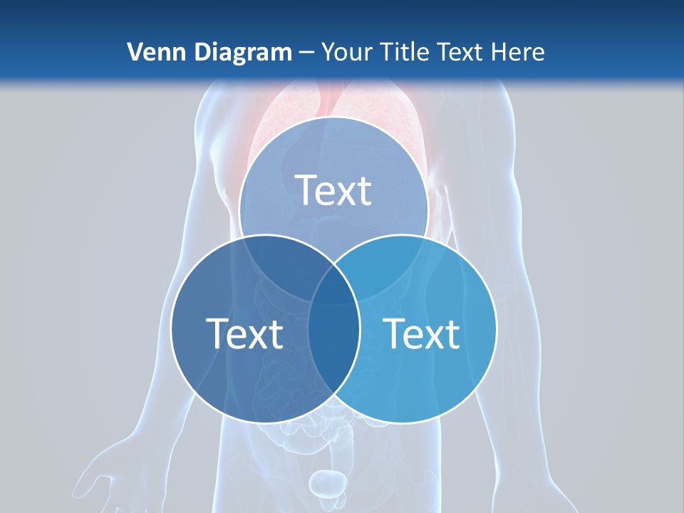 Organs Healthcare Pneumonia PowerPoint Template