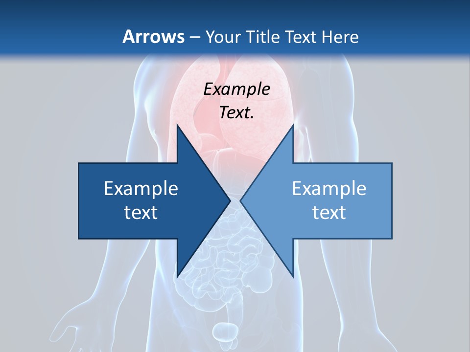 Organs Healthcare Pneumonia PowerPoint Template