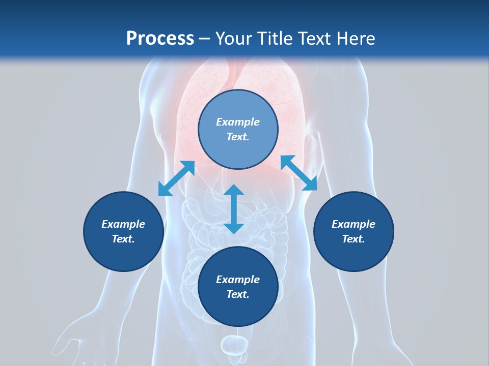 Organs Healthcare Pneumonia PowerPoint Template