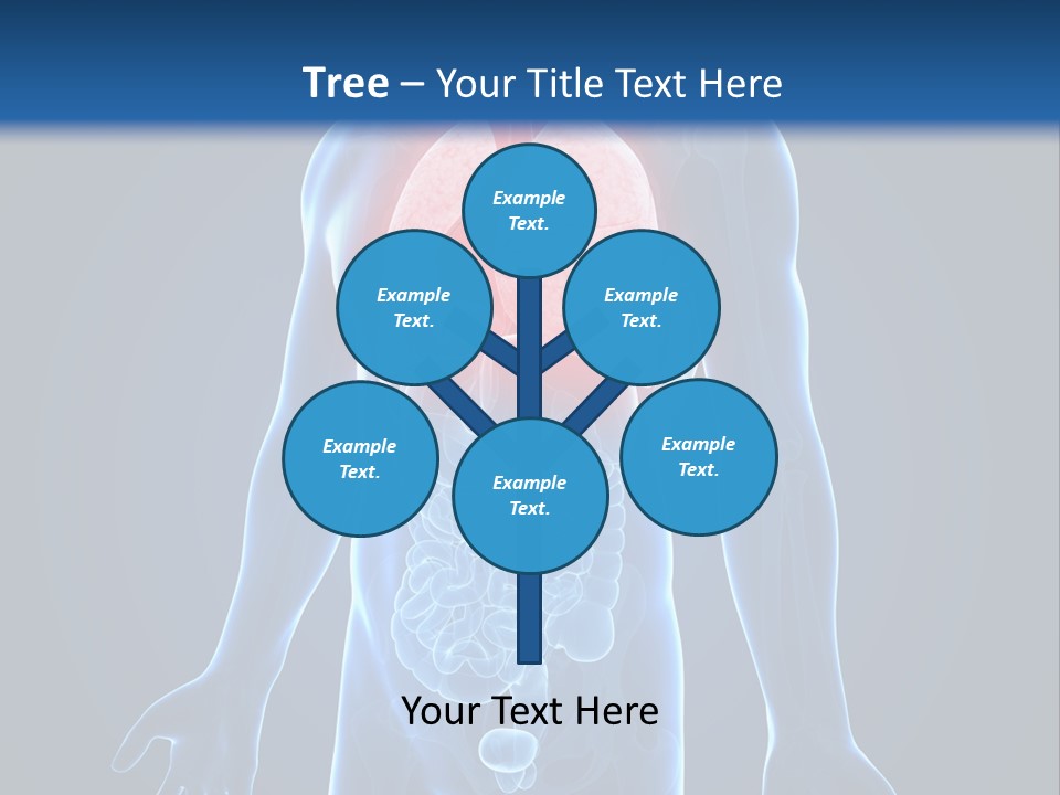 Organs Healthcare Pneumonia PowerPoint Template