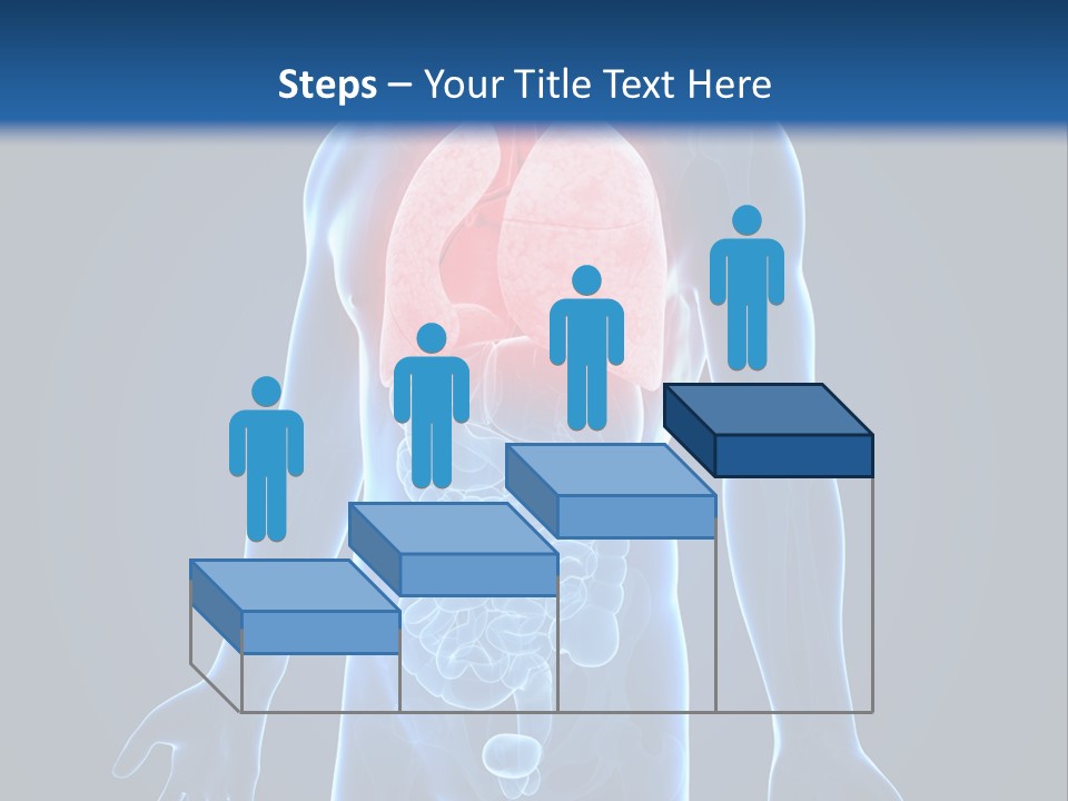Organs Healthcare Pneumonia PowerPoint Template