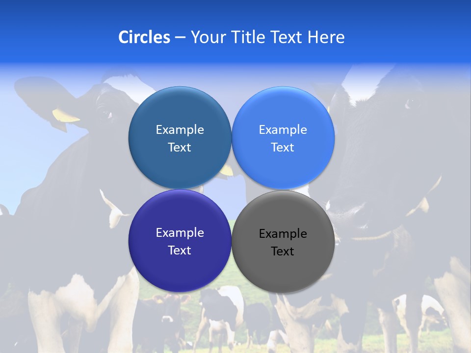 Ambewela Domestic Sky PowerPoint Template