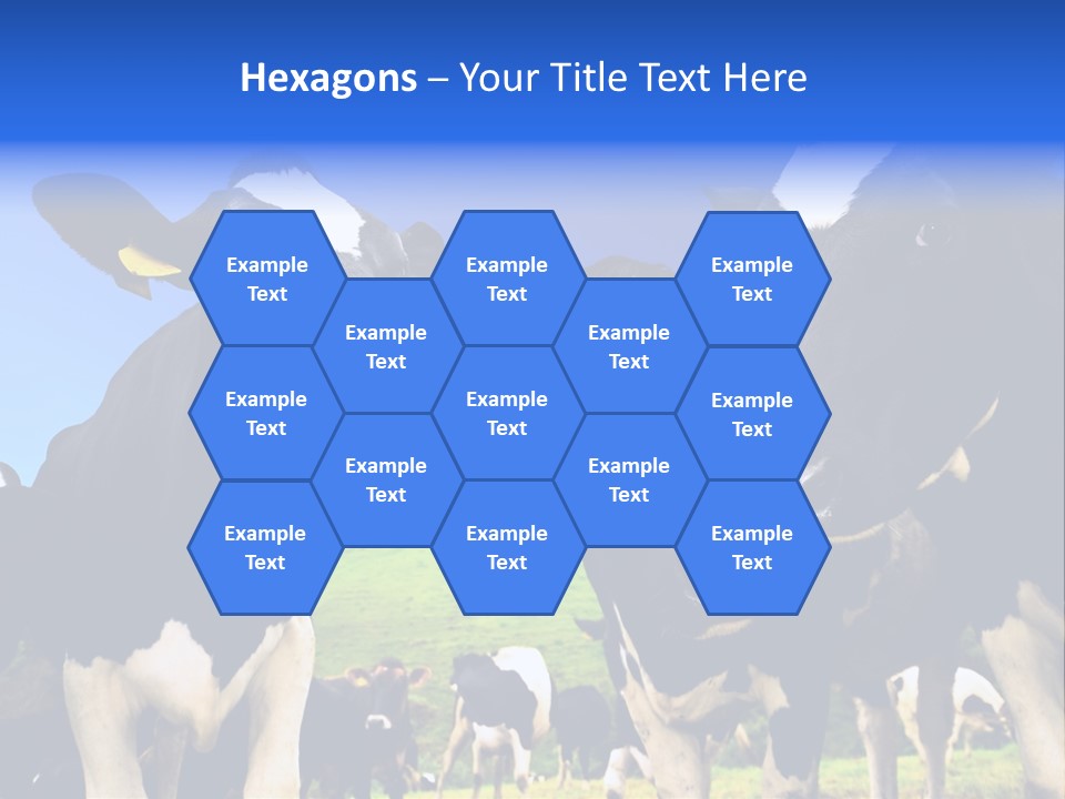 Ambewela Domestic Sky PowerPoint Template