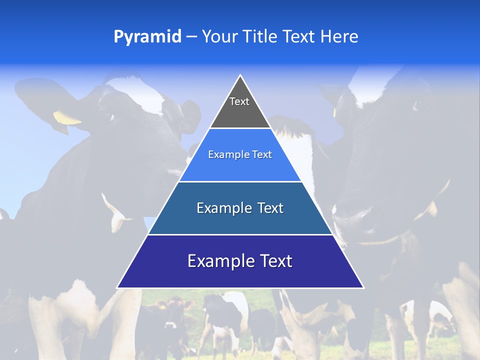 Ambewela Domestic Sky PowerPoint Template