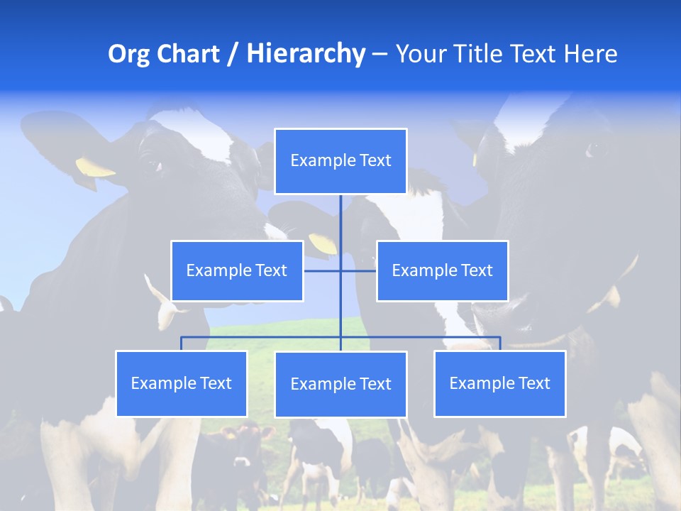 Ambewela Domestic Sky PowerPoint Template
