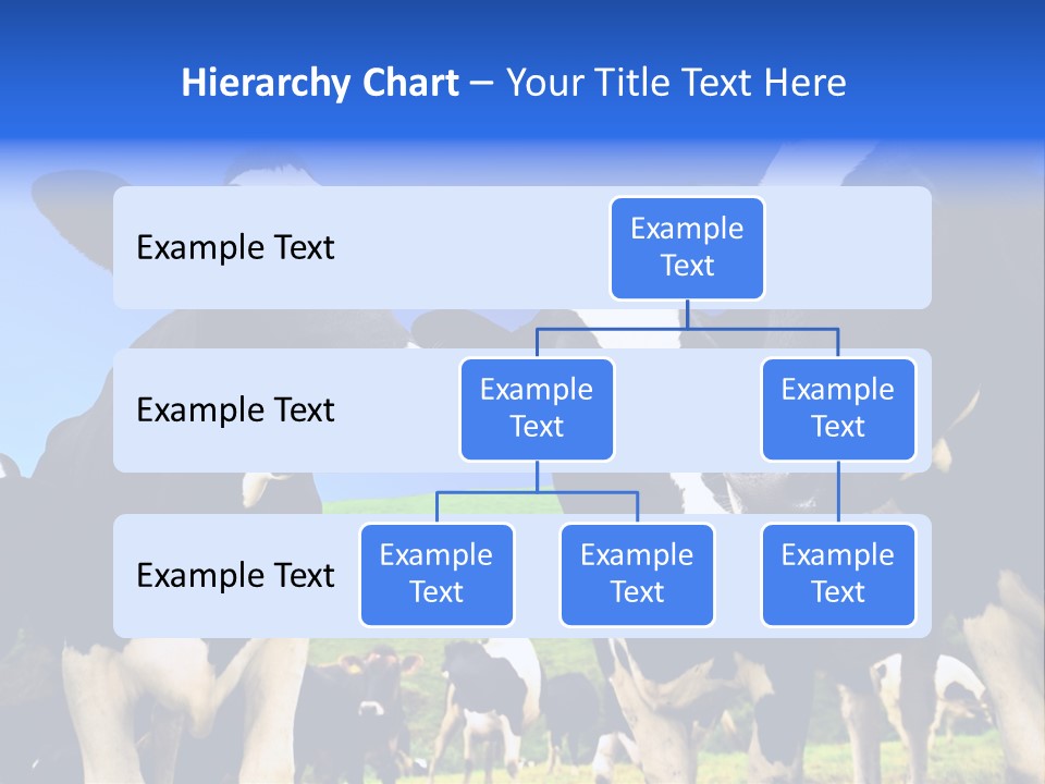 Ambewela Domestic Sky PowerPoint Template