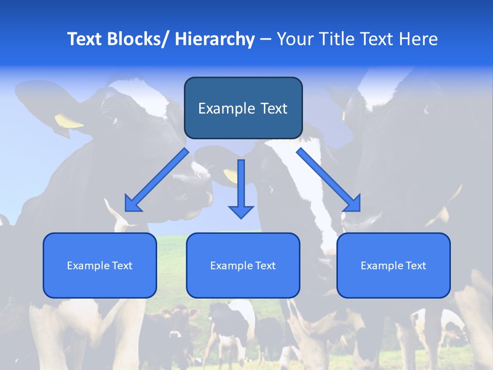 Ambewela Domestic Sky PowerPoint Template