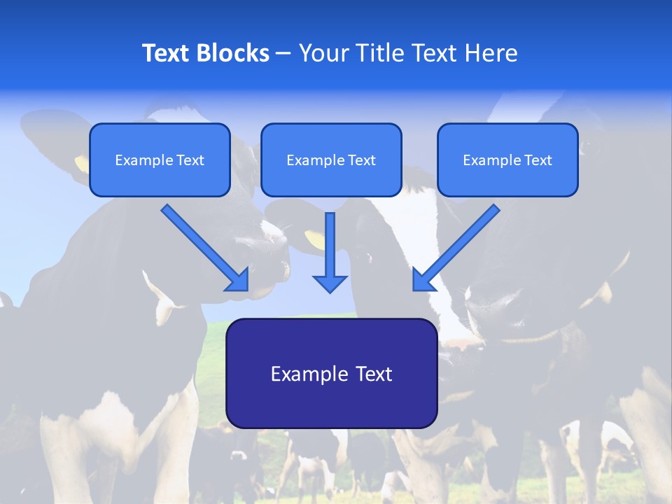 Ambewela Domestic Sky PowerPoint Template