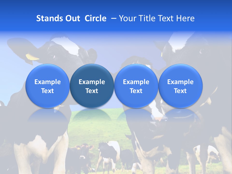 Ambewela Domestic Sky PowerPoint Template