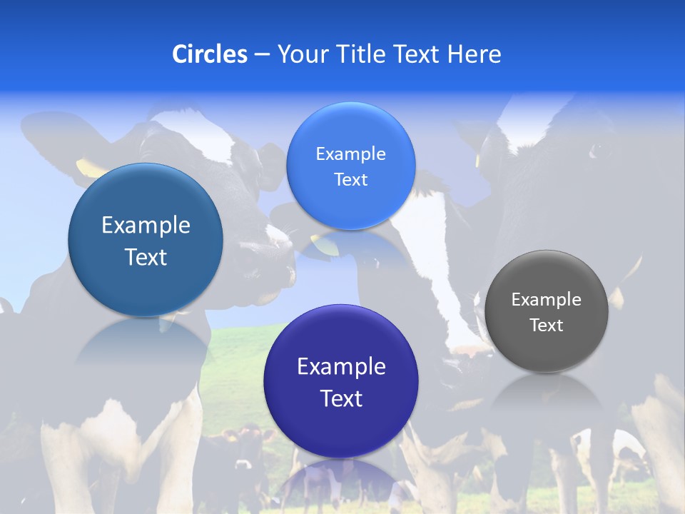 Ambewela Domestic Sky PowerPoint Template