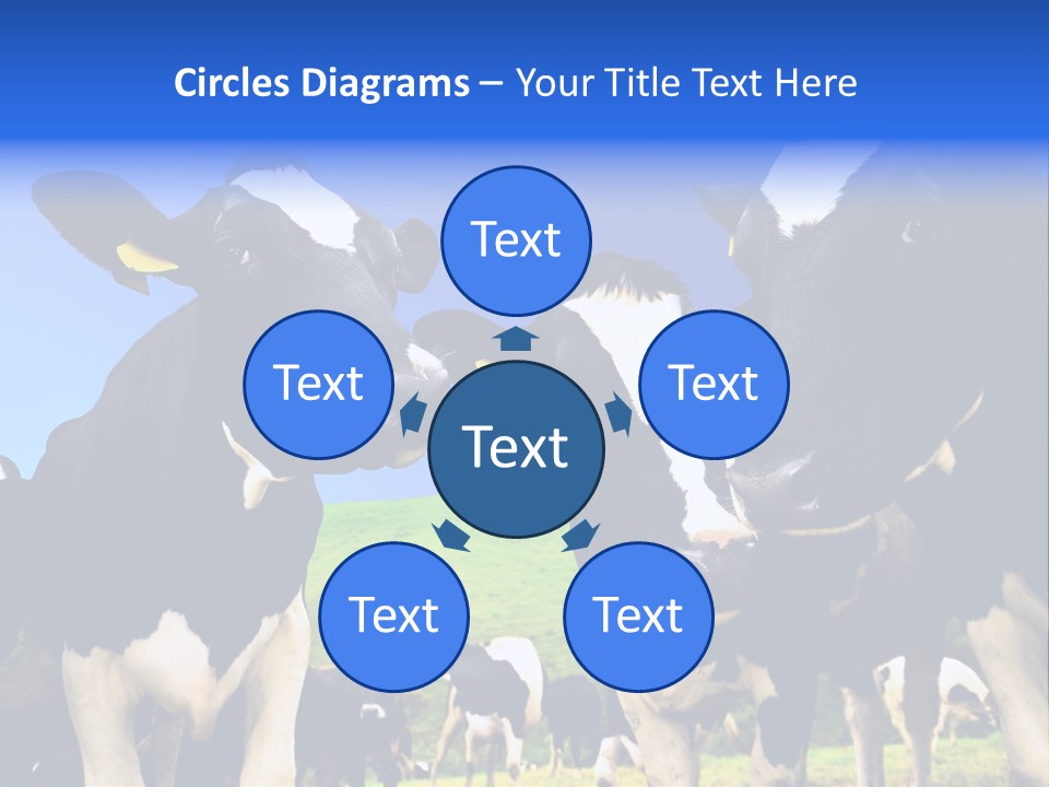 Ambewela Domestic Sky PowerPoint Template