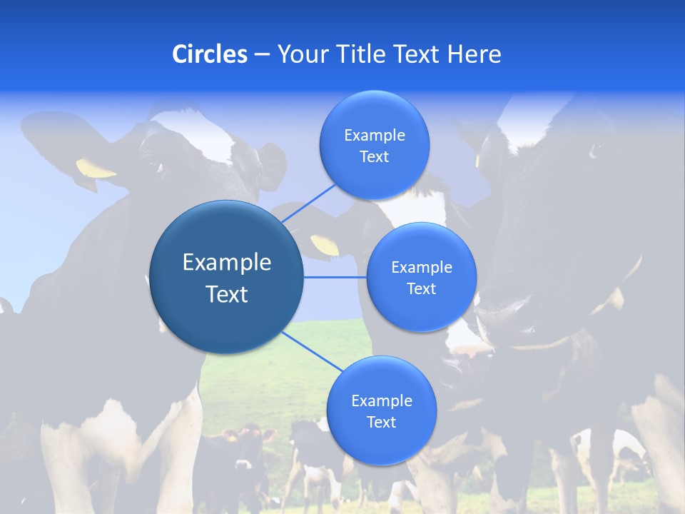 Ambewela Domestic Sky PowerPoint Template