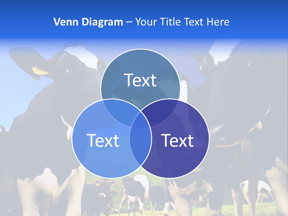 Ambewela Domestic Sky PowerPoint Template