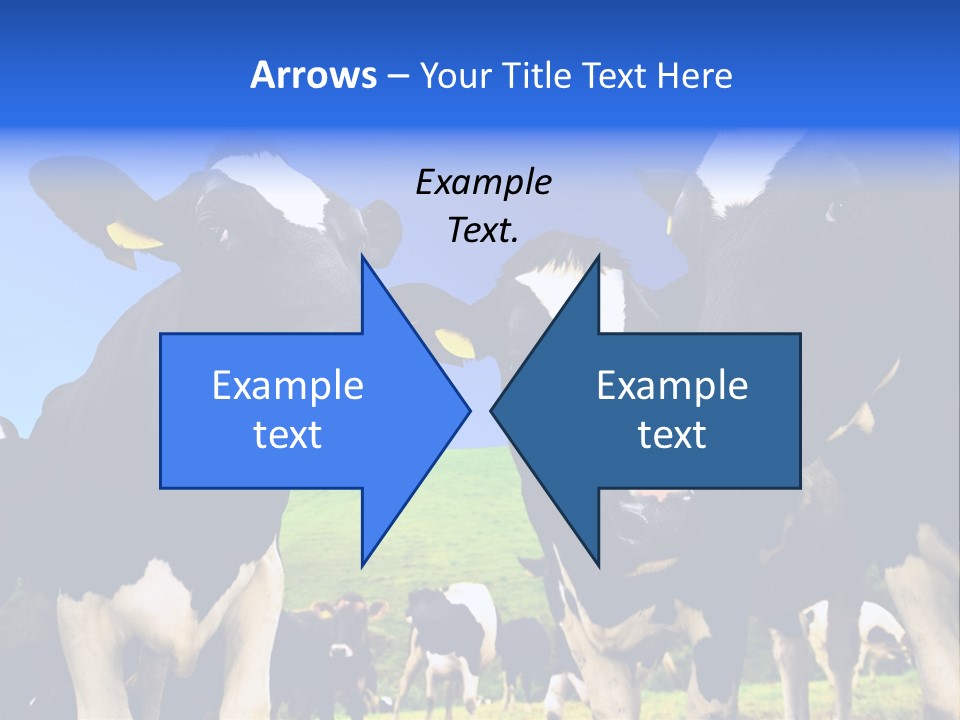 Ambewela Domestic Sky PowerPoint Template