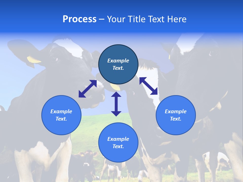 Ambewela Domestic Sky PowerPoint Template