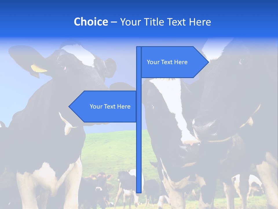 Ambewela Domestic Sky PowerPoint Template