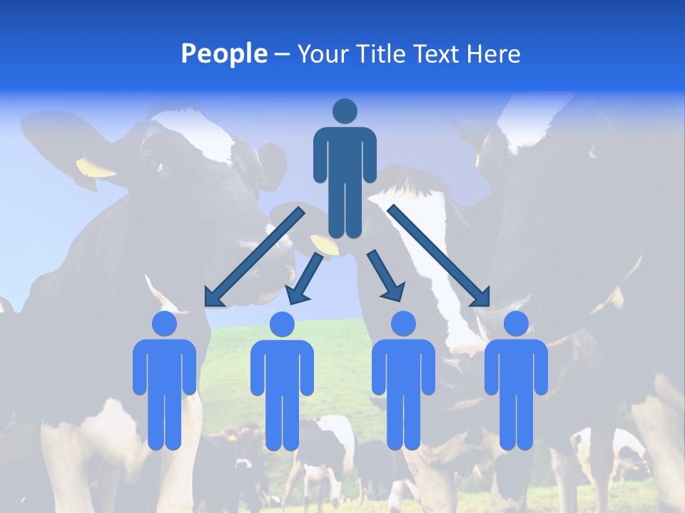 Ambewela Domestic Sky PowerPoint Template