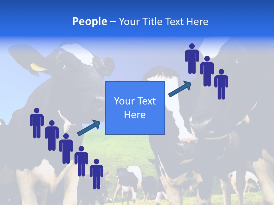 Ambewela Domestic Sky PowerPoint Template