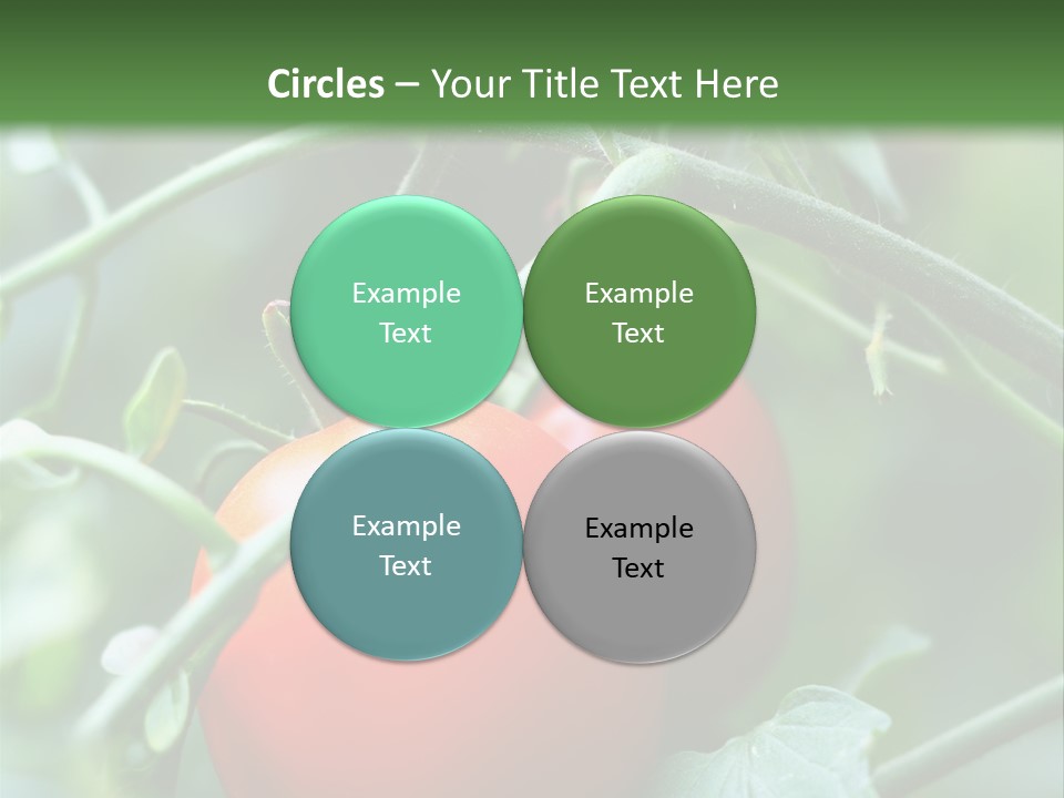 Close Solar Plant PowerPoint Template