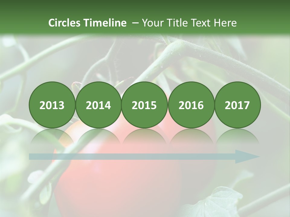 Close Solar Plant PowerPoint Template