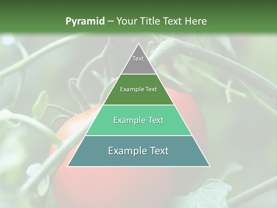 Close Solar Plant PowerPoint Template
